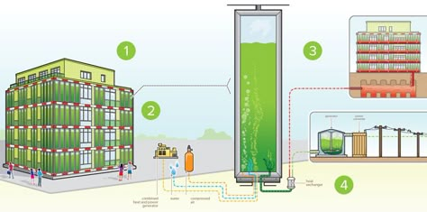 bio-reactive-facade Homeschool Curriculum Planning, Homemade Generator, Farm Plans, Smart Materials, Vertical Farming, Facade Lighting, Curriculum Planning, Canopy Design, Green Architecture