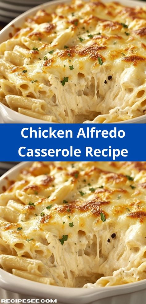 Need an easy casserole recipe for dinner? Discover this Chicken Alfredo Casserole, which marries savory chicken and cheesy goodness for a meal that’s both hearty and family-friendly, perfect for any occasion. Easy Alfredo Casserole, Easy Chicken Alfredo Casserole Recipes, Alfredo Pasta Casserole Recipes, Chicken Alfredo Recipes For Dinner, Alfredo Sauce Dishes, Supper Ideas Casserole, Chicken And Alfredo Sauce Recipes, Alfredo Sauce Dinner Ideas, Baked Chicken Alfredo Pasta Casseroles