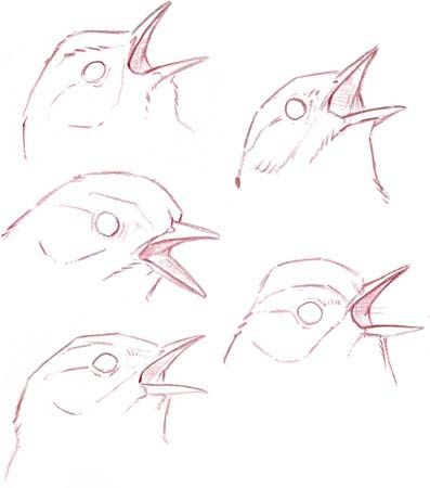 Bird Art Tutorial, Sparrow Anatomy, Bird Drawing Easy, Drawing Easy Pencil, Sketch Bird, Simple Bird Drawing, Shading Pencil, Sparrow Drawing, Bird Anatomy