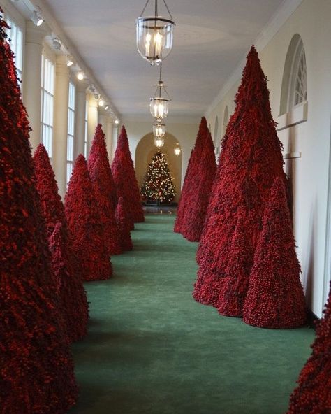 Mood🪄🎄🎁 White House Christmas Decorations, House Christmas Decorations, White House Christmas Tree, Luxury Christmas Decor, British Christmas, White House Christmas, Traditional Christmas Decorations, Christmas Tablescape, Christmas Display