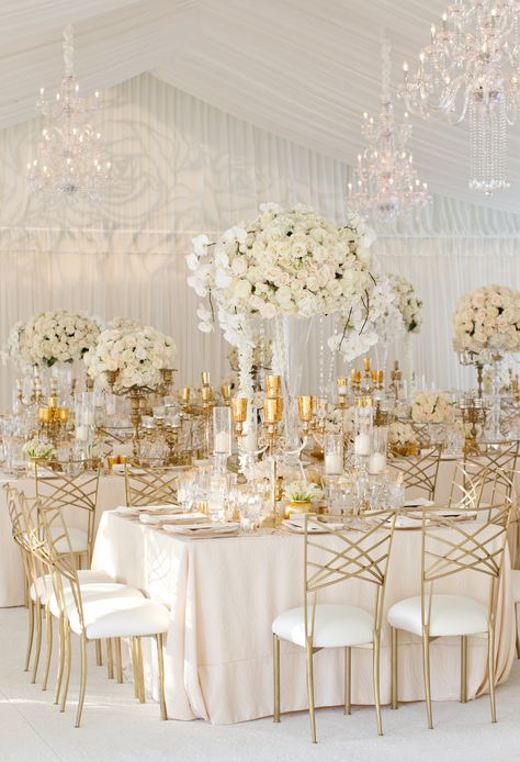 Gold Chameleon Chair Collection wedding chairs 48 Table, White Wedding Decorations, Inside Weddings, Rustic Wedding Decorations, Elegant Wedding Reception, Gold Wedding Theme, All White Wedding, Gold Wedding Decorations, Tent Wedding