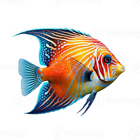 Tropical fish isolated on transparent background, created with generative AI Colorful Drawing Reference, Tropical Fish Drawing Simple, Colourful Fish Painting, Colorful Ocean Fish, Colorful Fish Art, Pretty Fish Ocean, Tropical Fish Illustration, Tropical Fish Painting, Ocean Fish Drawing