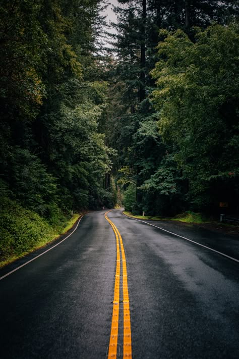 Forest Wallpaper Iphone, Road Wallpaper, Background Forest, Wallpaper For Computer, Background Search, Computer Background, Road Photography, Background Dark, Picture Wallpaper