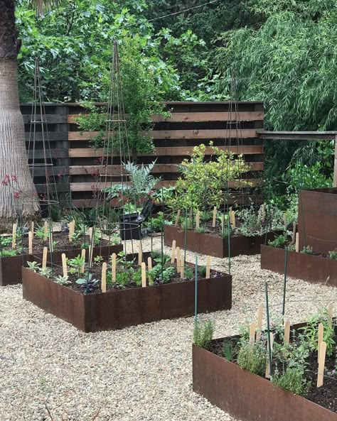 Corten Steel Vegetable Garden, Gravel Herb Garden, Corten Garden, Corten Steel Garden, Homestead Design, Edible Gardens, Herb Garden Design, Tiered Garden, Potager Garden