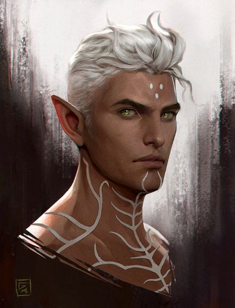 Dragon Age Elf, Dragon Age Romance, Male Elf, Dragon Age Characters, Dragon Age Games, Dragon Age Series, Dragon Age 2, Dragon Age Origins, Fantasy Portraits