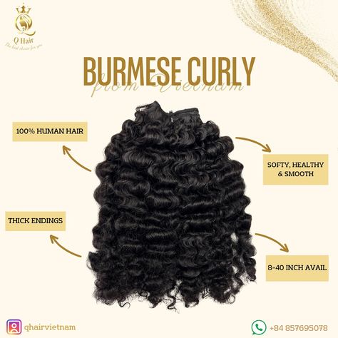 One of our hottest texture of all time - BURMESE CURLY ❤️‍🔥 this texture will create a fluffy look for your hair, making you look more gorgeous and pretty 🌷 We offer 8-40 inch of length, various colors, and we also make other types of hair extensions with burmese curly texture (tape/tip/ponytail/closure/frontal/wig/...) Dont hesitate to DM, or text me via my WA number: WA: +84 857695078 (Felix) ----------- #hairextensions #vietnamhair #qhair #rawhair #burmesecurly #burmesehair #virginhair #... Cornrows Braids For Black Women, Burmese Hair, Types Of Hair Extensions, Types Of Hair, Raw Hair, Braids For Black Women, Cornrows Braids, Frontal Wig, Text Me