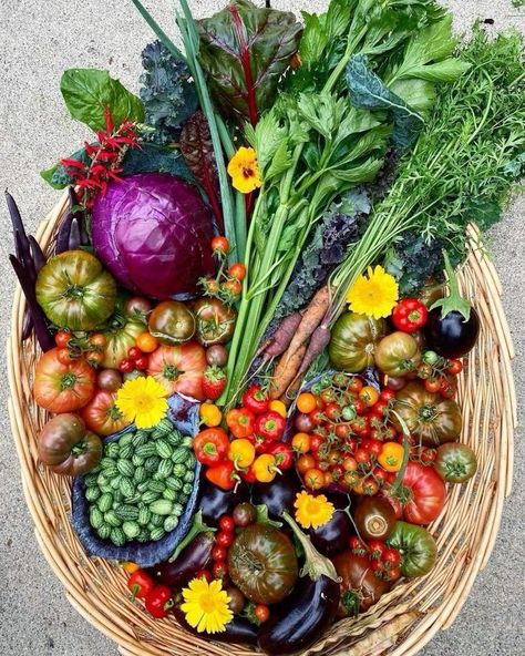 Home Grown Food, Vegetable Harvest, Homegrown Food, Harvest Basket, Veggie Patch, Garden Food, Veg Garden, Food Garden, Fruit And Veg