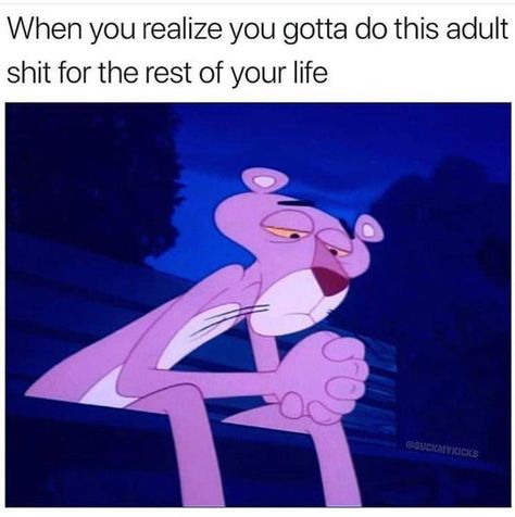 Adulting is no fun Hood Memes, Snapchat Ideas, Sarcasm Quotes, Funny Quotes Sarcasm, Funny Shirt Sayings, Funny Shirts For Men, Funny Quotes For Instagram, Sarcasm Humor, Quotes For Instagram