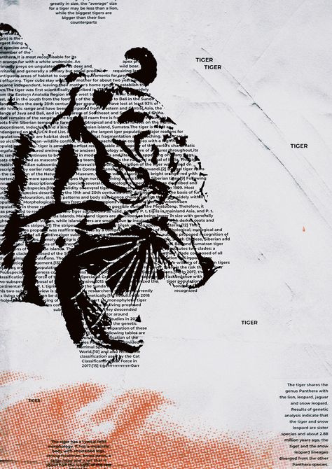 Typography Tiger poster Tiger Poster Design, Tiger Typography, Tiger Graphic Design, Photoshop Poster Design, Tiger Quotes, Tiger Poster, Photoshop Poster, Paper Background Design, Typography Poster Design