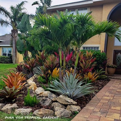 Florida Plants Landscaping, Tropical Backyard Landscaping, Palm Trees Landscaping, Tropical Landscape Design, Florida Landscaping, Tropical Garden Design, Tropical Backyard, Small Front Yard Landscaping, Tropical Landscape