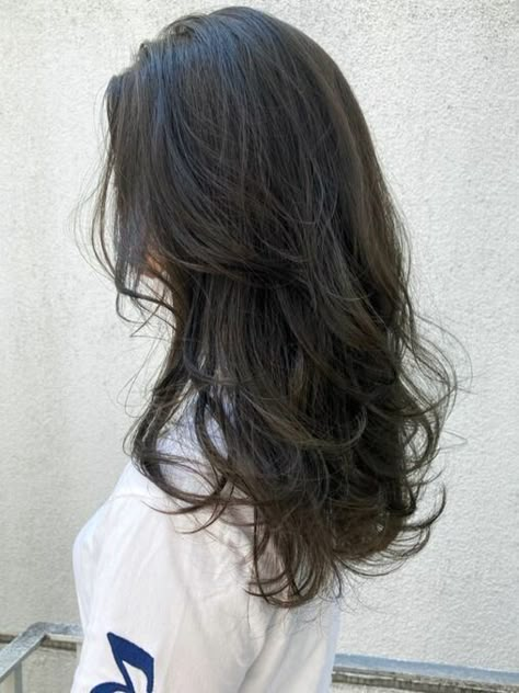 Hair Inspiration Long, Haircut Inspo, Long Dark Hair, Wolf Cut, Hair Stylies, Haircuts Straight Hair, Haircuts For Medium Hair, Hair Stylist Life, Long Layered Hair