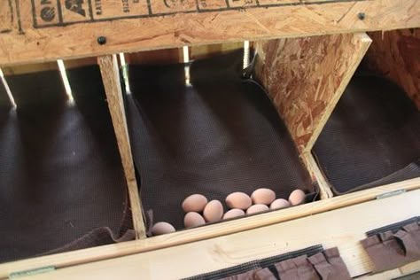 My roll-out nest boxes ~*~Pic Heavy~*~ Nesting Boxes For Chickens, Chicken Laying Boxes, Nesting Boxes Diy, Urban Chicken Farming, Chicken Boxes, Nest Boxes, Chicken Tractors, Chicken Nesting Boxes, Chicken Coup