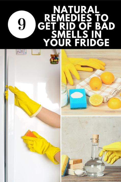 Stinky Fridge Remedies, How To Get Rid Of Smell In Fridge, How To Clean Your Fridge, Fridge Smell Tips, How To Clean Fridge, Smelly Refrigerator, Fridge Odor Eliminator, Smelly Fridge, Fridge Cleaning Hacks