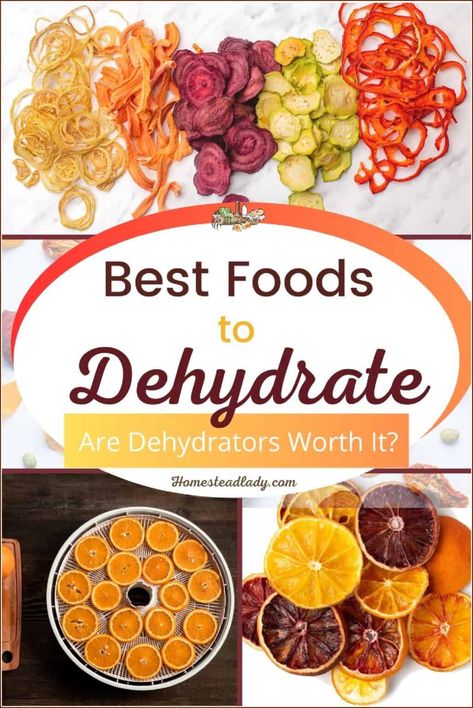 Best Foods to Dehydrate • Homestead Lady Foods To Dehydrate, Best Food Dehydrator, Dehydrate Potatoes, Food Dehydration, Freeze Dryer, Food Dehydrators, Dehydrated Vegetables, Canned Food Storage, Dehydrated Fruit