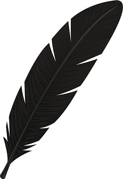 Crow Feathers, Feather Clip Art, Feather Clipart, Feather Template, Geometric Arrow Tattoo, Crow Feather, Spider Web Tattoo, Drawing Refrences, Feather Illustration