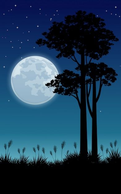 Night Painting Ideas, Night Scene Painting, Moon And Trees, Butterfly Tree, Color Backgrounds, Moon Painting, Anime Wallpaper Phone, Beautiful Night, Night Painting