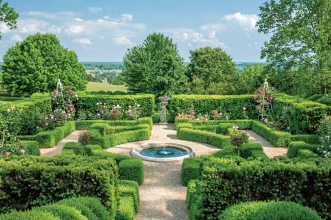 Boxwood Bonsai, Boxwood Landscaping, Lakeside Garden, Colonial Garden, Backyard Landscapes, Boxwood Garden, Tattoo Plant, European Garden, Southern Garden