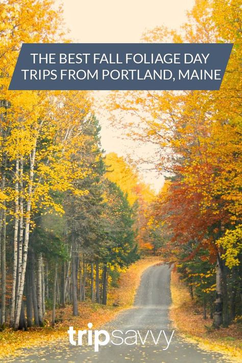 Day Trips From Portland Maine, Maine Fall Foliage Road Trips, Portland Maine In The Fall, Portland Maine Fall, Maine In Fall, Salem Fall, Fall In Maine, Maine Fall, Fall New England