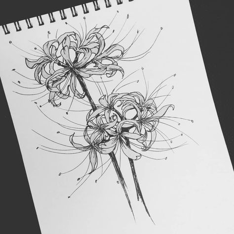 flowers from anime ‘Tokyo ghoul’ lycoris radiata Tokyo Ghoul Flower Tattoo, Tokyo Ghoul Flower, Lycoris Radiata, Red Spider Lily, Flower Tattoo Ideas, Spider Lily, Red Spider, Anime Tattoos, A Drawing