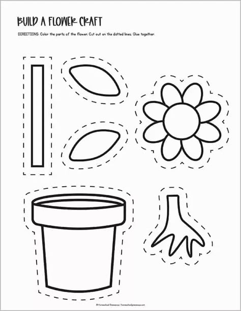 Spring Plants Crafts Preschool, Free Printouts For Preschool, Plants 1st Grade, Plant Cycle Worksheet, Preschool Activity Worksheets, Plant Craft Kindergarten, Part Of A Plant Preschool, Parts Of A Plant Free Printable, Plants Worksheets For Preschool