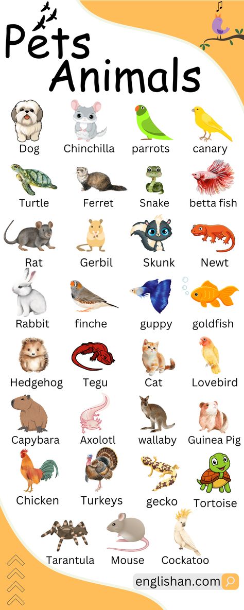 Pets Animals Names Pet Animals Name, Pet Vocabulary, English Pictures, English Animals, Animal Vocabulary, Learning Animals, Picture Vocabulary, Animals Name In English, Basic English Grammar Book