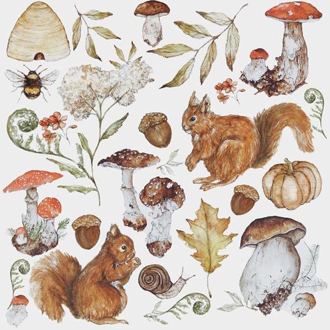 Cottagecore Prints, Study Illustration, Woodland Rabbit, Woodland Animal Art, Forest Mural, Art Mignon, Creature Artwork, Illustration Botanique, Shop Illustration