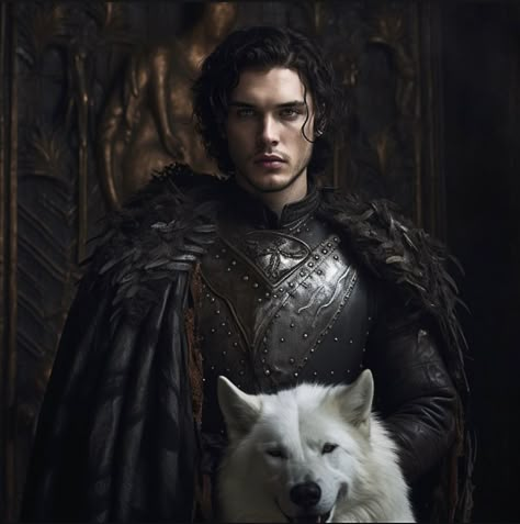 Asoiaf Characters, Jon Stark, Targaryen Stark, House Stark Oc, Jon Targaryen Fan Art, Stark Oc Game Of Thrones, Stark Oc, Game Of Thrones Oc Character, Jon Snow Book