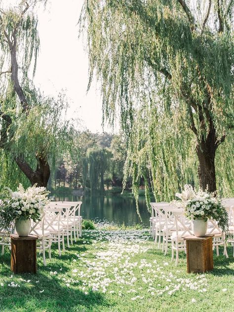 Tree Wedding Ceremony, Willow Tree Wedding, Rustic Wedding Decorations, Wedding Ceremony Ideas, Garden Wedding Decorations, Beautiful Wedding Venues, Outdoor Wedding Decorations, Tree Wedding, Outdoor Wedding Ceremony