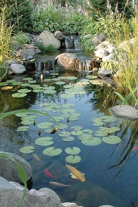 Garden Pond Waterfall, Ponds Ideas, Koi Pond Design, Kolam Koi, Taman Air, Building A Pond, Backyard Ponds, Garden Pond Design, Fountains Backyard