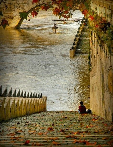 Bank of River Seine, Paris  water outdoors nature trees steps Foto Scale, River Seine, Paris Chic, Paris Photo, Paris Photos, Taos, Paris Travel, France Travel, The River