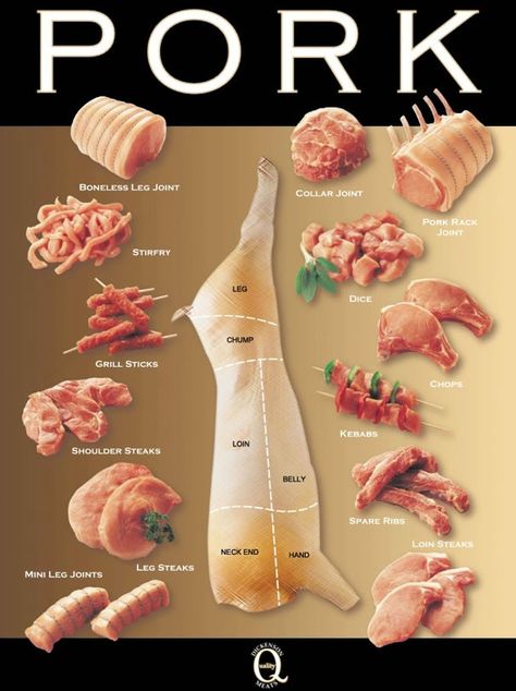 Pork Cuts Chart, Pork Meat, Pork Ham, Food Charts, Weekly Newsletter, Food Info, Processed Meat, White Meat, Meat Cuts