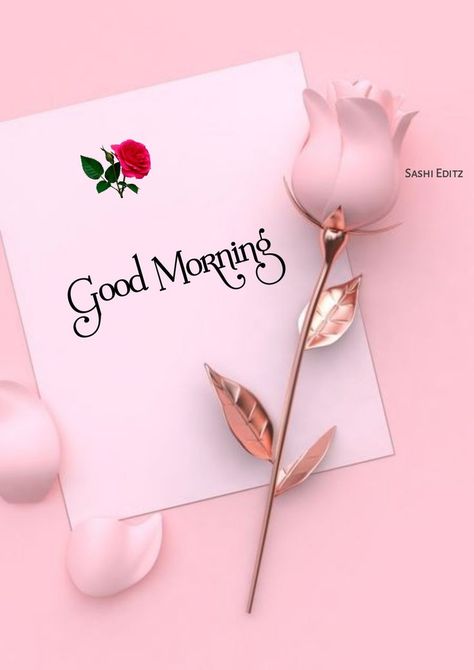 Gm Quotes Mornings, Morning Flowers Quotes, Good Morning Wishes Love, Gif Good Morning, Cute Good Morning Gif, Good Morning Love Gif, Good Morning Flowers Rose, Good Morning Beautiful Gif, Good Morning Coffee Images