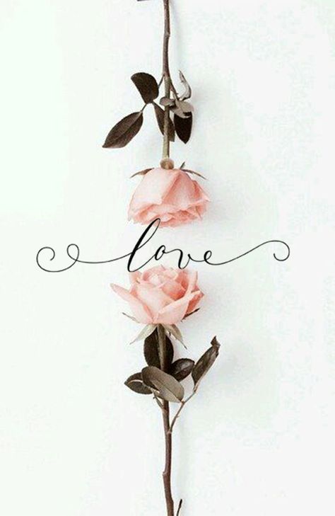 Wallpaper Girly, The Word Love, Beautiful Flowers Wallpapers, Word Love, Iphone Wallpaper Girly, Feb 7, 9k Followers, Inspirational Wallpapers, Sweet Valentine