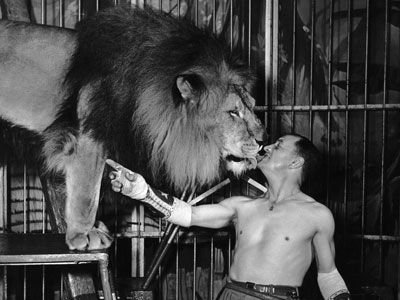 Lion tamer Captain Jim Roose feeding a lion with a lump of meat in his mouth in October 1949. This lion is the mate of the lioness which killed his brother and daughter. Vintage Circus Photos, Circus Pictures, Old Circus, Circus Vintage, Taming Of The Shrew, Hokey Pokey, Circus Maximus, Lion Tamer, August Sander