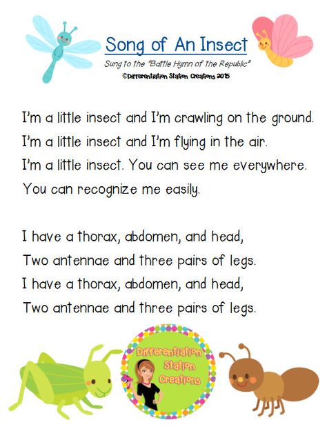 FREE and original song on the characteristics of an insect. Help kids remember the parts of an insect through song. "Song Of An Insect", by Differentiation Station Creations. Insect Poem, Insect Songs, Bug Preschool, Parts Of An Insect, Bug Songs, Preschool Bugs, Minions Kids, Counting Songs, Bug Activities