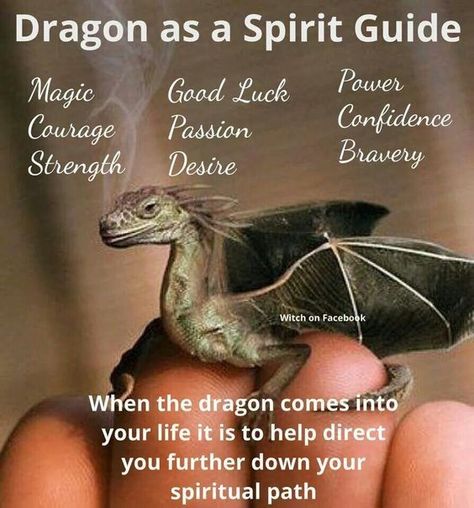 Your Weekend Spirit Guide for March 25th is The Dragon | Witches Of The Craft® Dragon Magick, Animal Totem Spirit Guides, Dragon Magic, Dragon Quotes, Spirit Animal Meaning, Dragon Energy, Dragon Spirit, Types Of Dragons, Totem Animals