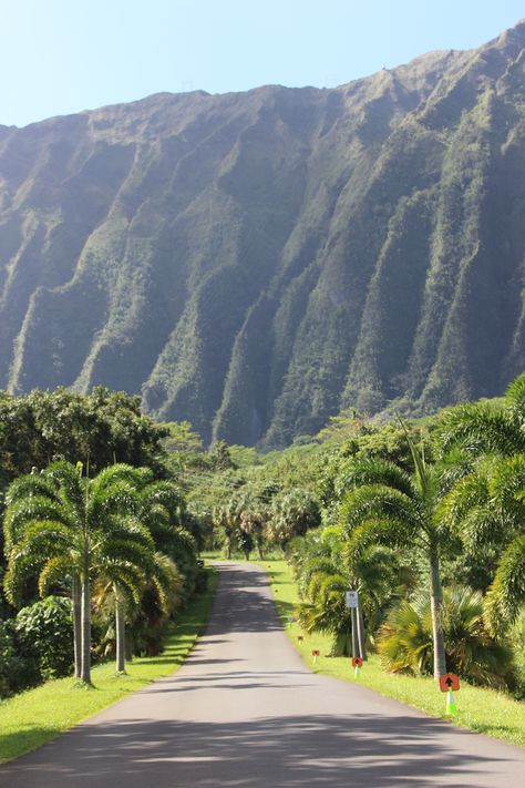 There’s More to Hoʻomaluhia Botanical Garden Than Its Instagrammable Entrance - Hawaii Magazine Wallpapers Layout, Hawaiian Plants, Hawaii Magazine, Oahu Vacation, Landscape Borders, Hawaii Pictures, Hawaii Wall Art, Army Corps Of Engineers, Hawaii Oahu