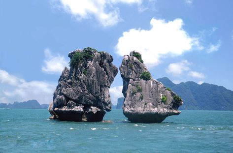 Trong Mai islet - fighting cock rocksTrong Mai is situated on the south-west side of Ha Long Bay Vietnam Halong Bay, Beautiful Cave, Vietnam Culture, Nagomi Art, Vietnam Destinations, Vietnam Tourism, Vietnam Hotels, Cat Ba Island, Travel To Vietnam