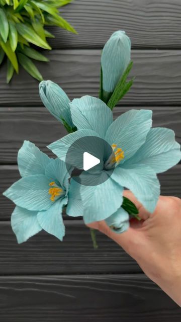 How To Make Hawaiian Flowers, Diy Paper Lily, Lily Paper Flower, How To Do Quilling, Lily Craft, Paper Lilies, Paper Flowers Gift, Flowers Crepe Paper, Diy Butterflies