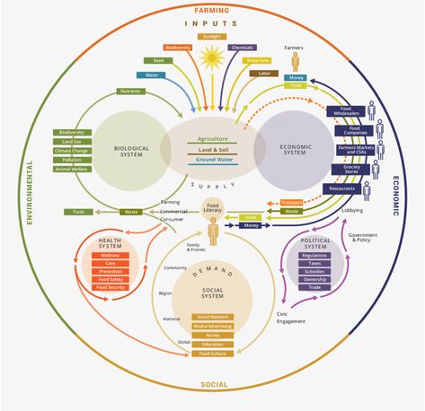 System Map, Systems Thinking, Data Visualization Design, Conceptual Understanding, Family Systems, Complex Systems, Food System, Global Education, Food Security