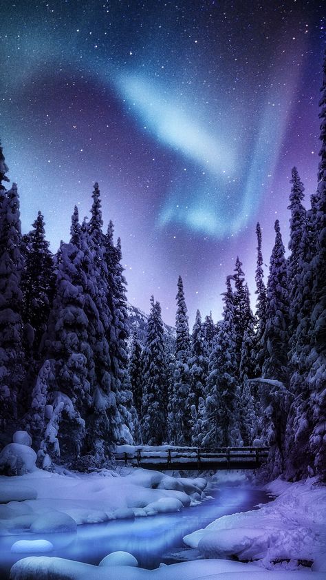 Winter Northern Lights, Northern Lights Wallpaper, Star Wolf, Lights Trees, River Bridge, Winter Nature, Pretty Landscapes, Winter Wallpaper, Winter Scenery