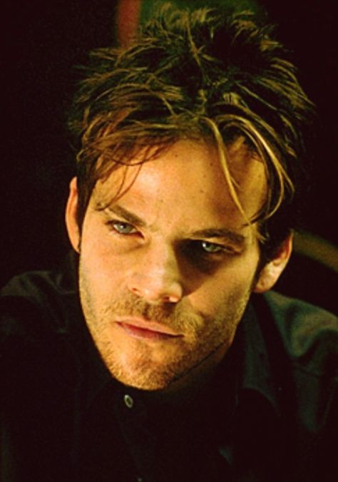 Stephen Dorff as Deacon Frost in Blade -- because this is how a vampire should look like! Dimple Chin, Vampire Hybrid, Half Vampire, Stephen Dorff, Blade Movie, Blade Marvel, Hot Vampires, Things To Do With Boys, The Villain