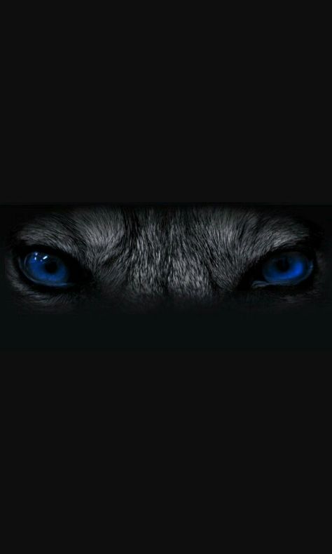 Wolf Eye Tattoo, Latin Tattoo, Painting Eyes, Random Tattoos, Tattoo Wolf, Sleeve Tattoos For Guys, Blue Wolf, Wolf Eyes, Animal Eyes