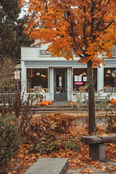 New England Fall Vacation, Catskills Ny Aesthetic, Catskills Ny Fall, Catskills Ny Winter, Catskills Aesthetic, Autocamp Catskills, Upstate New York Aesthetic, Upstate New York Fall, Upstate Ny Fall