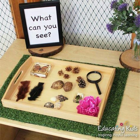 Montessori Counting, Montessori Trays, Reggio Emilia Classroom, Reggio Inspired Classrooms, Reggio Classroom, Family Day Care, Magnifying Glasses, Reggio Inspired, Invitation To Play