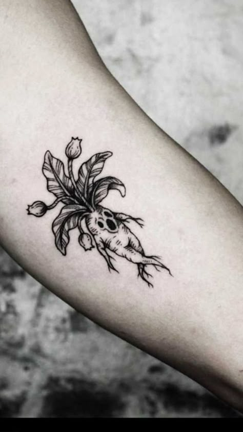 Creepy Flower Tattoo Designs, Goth Garden Tattoo, Flowers With Skulls Tattoo, Dark Bug Tattoo, Filler Tattoo Ideas Gap Nature, Goth Plant Tattoo, Mycology Tattoo, Dark Floral Tattoo Design, Creepy Nature Tattoo