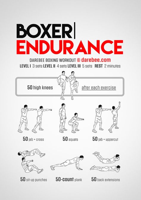 Boxer Endurance Workout - Concentration - Full Body Boxer Workout, Agility Workouts, Fighter Workout, Boxing Training Workout, Boxing Techniques, Boxing Drills, Superhero Workout, Speed Workout, Mma Workout