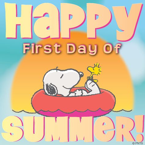 Snoopy Summer, Happy Summer Quotes, Peanuts Cartoon, Snoopy Wallpaper, Peanuts Characters, Snoopy Quotes, Snoopy Pictures, First Day Of Summer, Snoopy Love