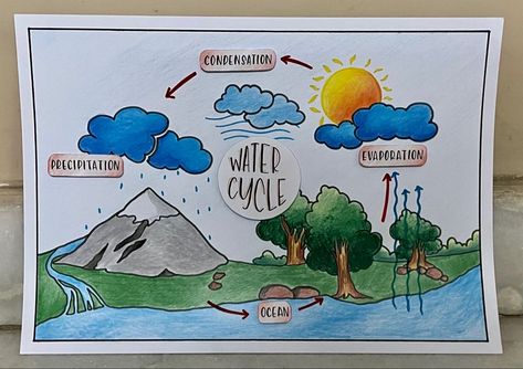 The Water Cycle Project Poster, Water Cycle Diagram Drawing, Water Cycle Picture, Water Cycle Diagram Science, Water Cycle Poster Ideas, Water Cycle Aesthetic, Water Cycle Poster Project For Kids, Condensation Drawing, Water Cycle Drawing Art Projects