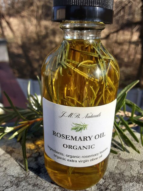 Organic Rosemary Oil| Infused Oil| Hair Growth Oil Organic Oil Packaging, Rosemary Oil Aesthetic, Hair Oil Packaging, Herbal Body Oil, Pamper Products, Rosemary Hair Oil, Hair Oiling, Rosemary Hair Growth, Rosemary Hair